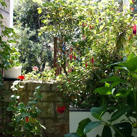 By The Sea Pomena, Mljet - 4929 Pensjonat 2*