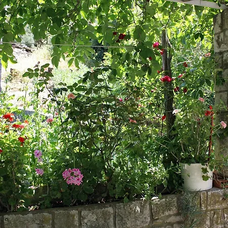 Maison d'hôtes By The Sea Pomena, Mljet - 4929